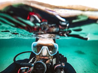 Cape Town scuba diving experience